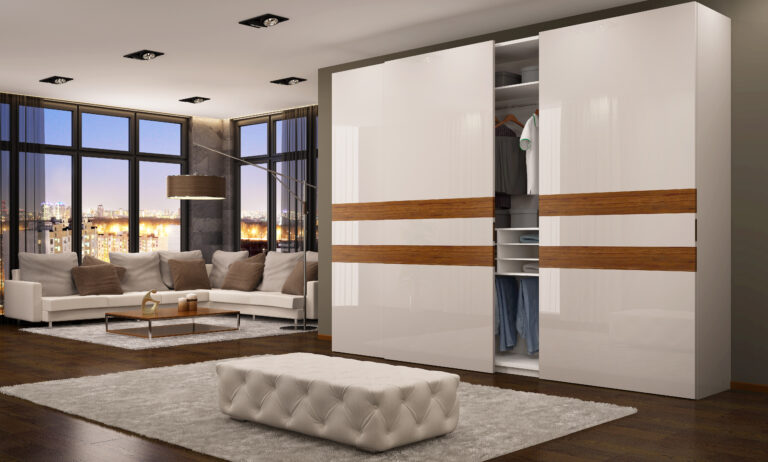 Modern wardrobe in the living room